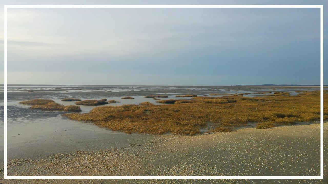 Odyssee Gite Sur Peniche Saint-Valéry-sur-Somme Exterior foto